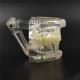 NEW Dental Implant Study Analysis Demonstration Teeth Model with Restoration