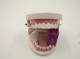 Dental Autoclavable occlusal pad big size + Oral block tongue kit