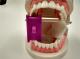 Dental Autoclavable occlusal pad big size + Oral block tongue kit
