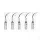 5pcs Dental Ultrasonic Scaler Perio Scaling Tip G1 For EMS/WOODPECKER Handpiece