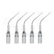 5pcs G3  Dental Scaler Perio Scaling Tip for EMS WOODPECKER ultrasonic handpiece