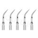 5pcs G3  Dental Scaler Perio Scaling Tip for EMS WOODPECKER ultrasonic handpiece