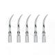 5pcs G5 Dental ultrasonic handpiece Scaler Perio Scaling Tip for EMS WOODPECKER 1pc