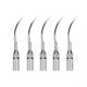 5pcs G6 Dental ultrasonic handpiece Scaler Perio Scaling Tip for EMS WOODPECKER 1pc
