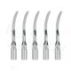 5pcs G6 Dental ultrasonic handpiece Scaler Perio Scaling Tip for EMS WOODPECKER 1pc