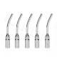 5pcs G7 Dental ultrasonic handpiece Scaler Perio Scaling Tip for EMS WOODPECKER 1pc