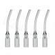 5pcs G7 Dental ultrasonic handpiece Scaler Perio Scaling Tip for EMS WOODPECKER 1pc