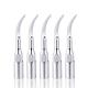 5pcs Dental Ultrasonic Scaler Perio Scaling Tip P1 Fit For EMS/WOODPECKER Handpiece