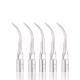 5pcs Dental Ultrasonic Scaler Perio Scaling Tip P1 Fit For EMS/WOODPECKER Handpiece