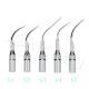 Ultrasonic Scaler Scaling Tip G1-G5 5 Pcs For Woodpecker EMS Handpiece