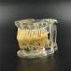 Dental Study Tooth Transparent Adult Pathological & Disease Teeth Model