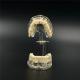 1 X  Dental Implant Disease Tooth Pathological Extrusion Missing Teeth Model