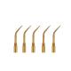 5 pcs G3T Dental Ultrasonic Scaler Tips scaling handpiece Fit EMS Woodpecker