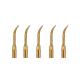 5 pcs G4T Dental Ultrasonic Scaler Tips golden scaling tips EMS woodpecker