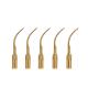 5 pcs Dental Ultrasonic piezo Scaler Tip for EMS/Woodpecker Scaling G5T GOLD