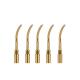 5 pcs Dental Ultrasonic Piezo Scaler Tip Brand new condition Gold G6T