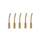 5 pcs Ultrasonic handpiece 1pc G7T Dental Scaler Perio Scaling Tip for EMS WOODPECKER