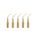 5 pcs Dental Ultrasonic Piezo Scaler Tip P1T for EMS/Woodpecker Scaler Handpiece