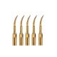 5 pcs Dental Ultrasonic Piezo Scaler Tip P1T for EMS/Woodpecker Scaler Handpiece