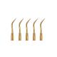 5 pcs Dental Scaler Perio Scaling Tip for EMS WOODPECKER P3T