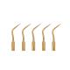 5 pcs Dental Scaler Perio Scaling Tip for EMS WOODPECKER P3T