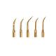 5pcs Dental Scaler Tip Scaling Gold Color fit EMS WOODPECKER Scaler Handpiece