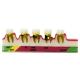 Dental Periodontal Disease assort Teeth Dentoform Typodont Study Teaching Model