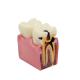 Oral Model 4 Times Dental Caries Comparison Model Dental Tooth Model