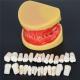 Dental All Removable Standard Teeth Tooth Model 28 pcs teeth