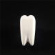  Creative gifts mini Tooth -Shape Staple Dental Stationary Dental Stapler dental