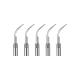 5sets Dental Ultrasonic Piezo Scaler Tips GD1 Fit DTE/SATELEC Handpiece CE