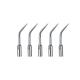5sets Dental Ultrasonic Piezo Scaler Tips GD3 Fit DTE/SATELEC Handpiece CE