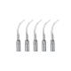 5sets Dental Ultrasonic Piezo Scaler Tips GD6 Fit DTE/SATELEC Handpiece CE