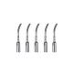 5sets Dental Ultrasonic Piezo Scaler Tips GD6 Fit DTE/SATELEC Handpiece CE