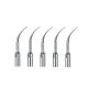 5sets Dental Ultrasonic Piezo Scaler Tips PD3 Fit DTE/SATELEC Handpiece CE