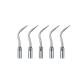5sets Dental Ultrasonic Piezo Scaler Tips PD4 Fit DTE/SATELEC Handpiece CE