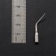 Dental Ultrasonic Scaler Scaling Tip P2R For EMS/WOODPECKER Handpiece