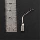 Dental Ultrasonic Scaler Perio Tip P2LD For EMS/WOODPECKER Handpiece