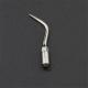 Dental Ultrasonic Scaler Perio Tip P4D For EMS/WOODPECKER Handpiece